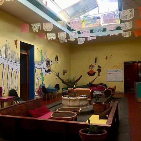 Iguana Hostel Oaxaca المظهر الخارجي الصورة