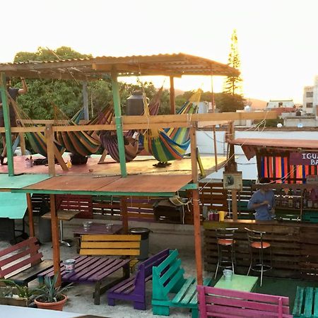 Iguana Hostel Oaxaca المظهر الخارجي الصورة