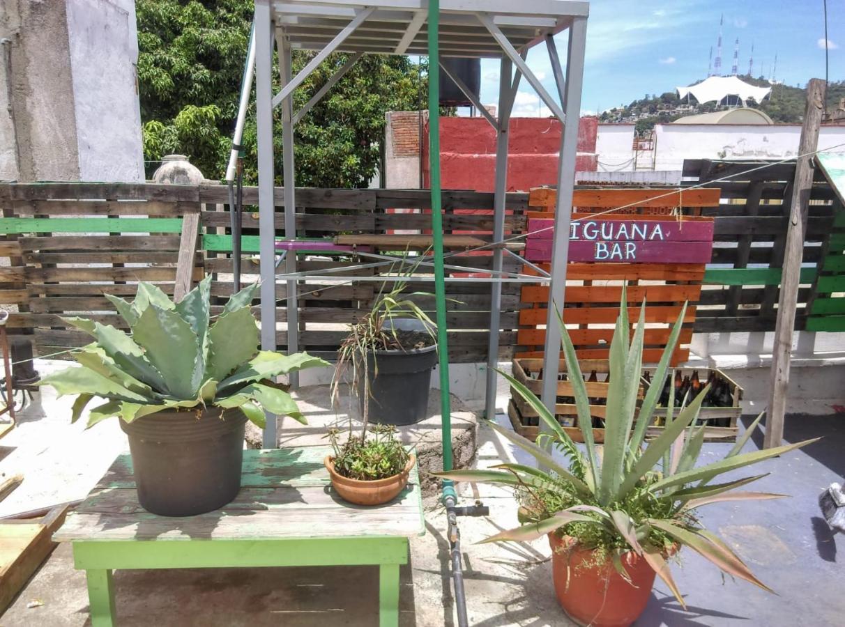 Iguana Hostel Oaxaca المظهر الخارجي الصورة