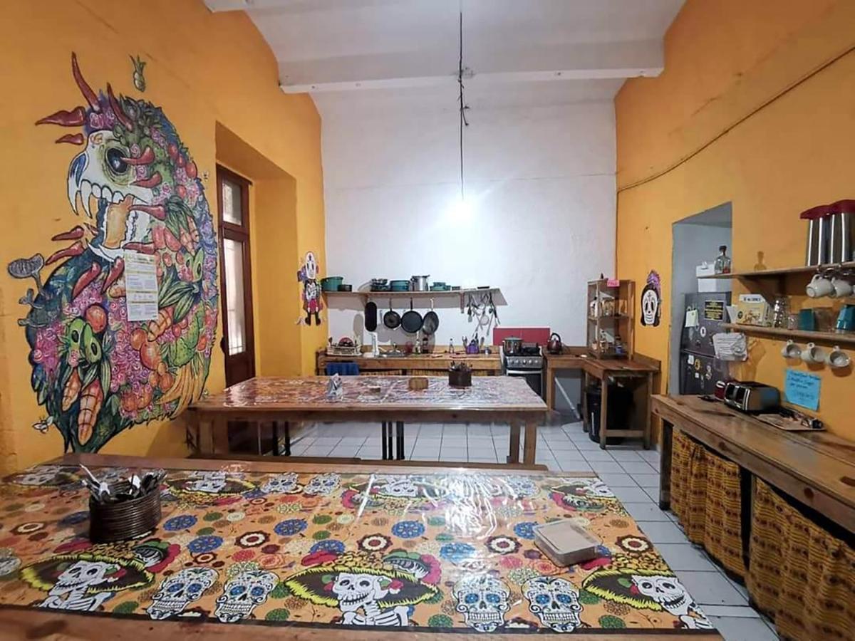 Iguana Hostel Oaxaca المظهر الخارجي الصورة