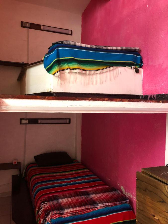 Iguana Hostel Oaxaca المظهر الخارجي الصورة