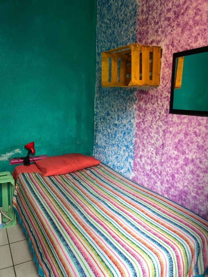 Iguana Hostel Oaxaca المظهر الخارجي الصورة