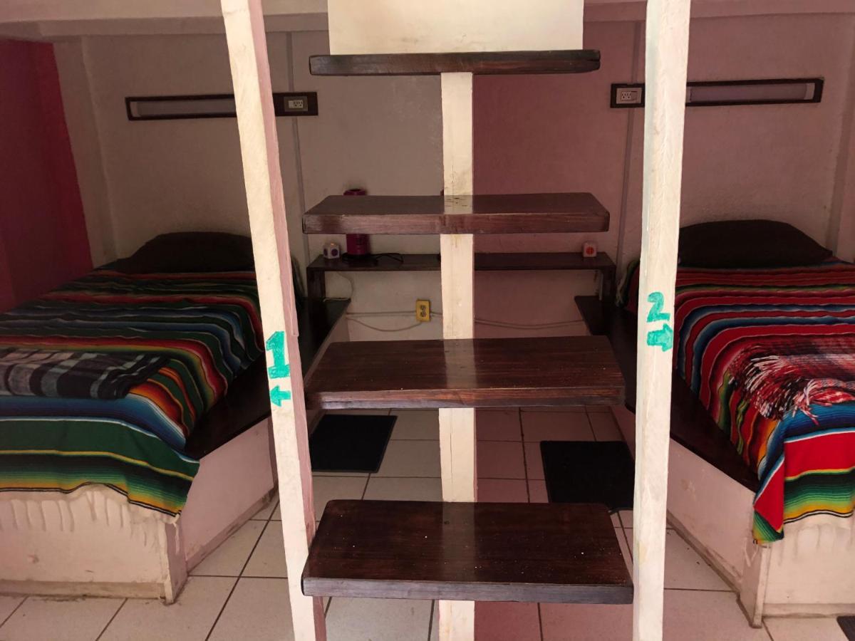 Iguana Hostel Oaxaca المظهر الخارجي الصورة