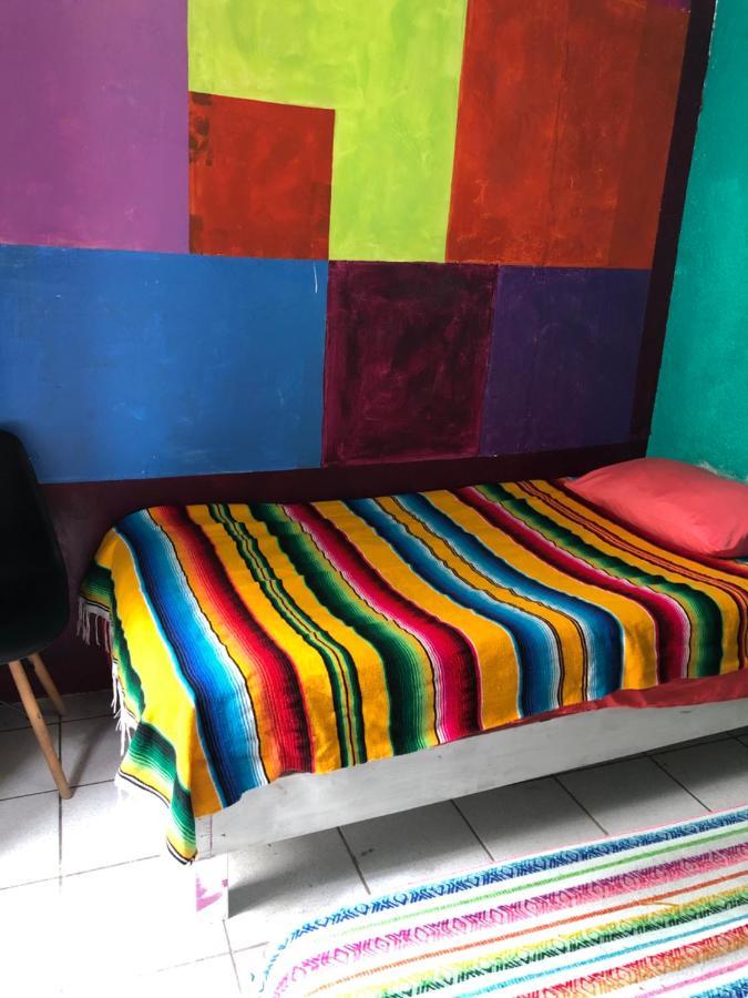 Iguana Hostel Oaxaca المظهر الخارجي الصورة