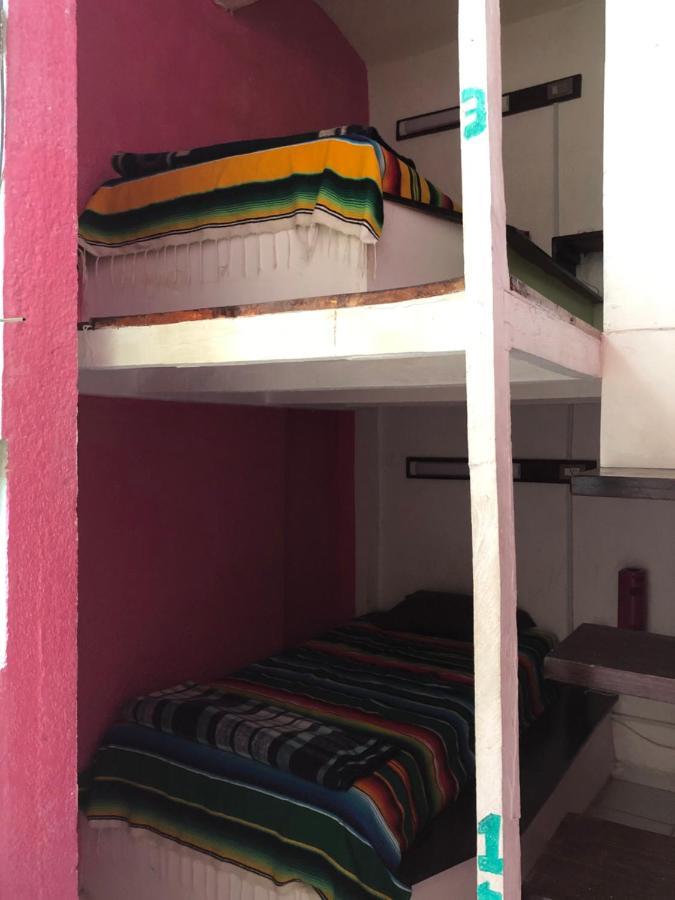 Iguana Hostel Oaxaca المظهر الخارجي الصورة