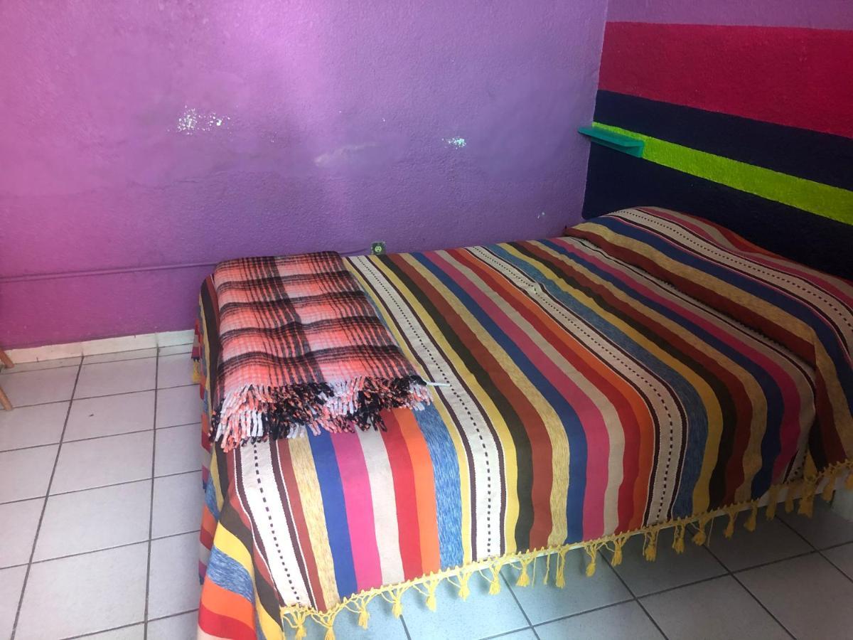 Iguana Hostel Oaxaca المظهر الخارجي الصورة