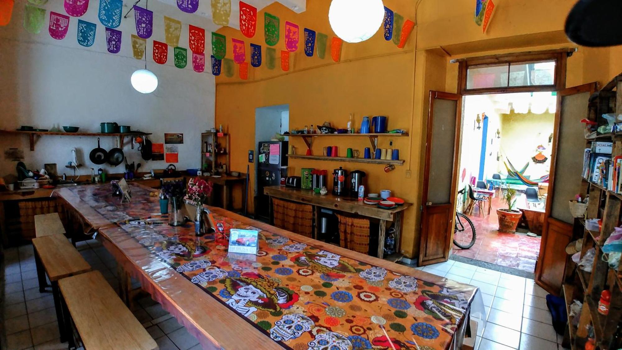 Iguana Hostel Oaxaca المظهر الخارجي الصورة