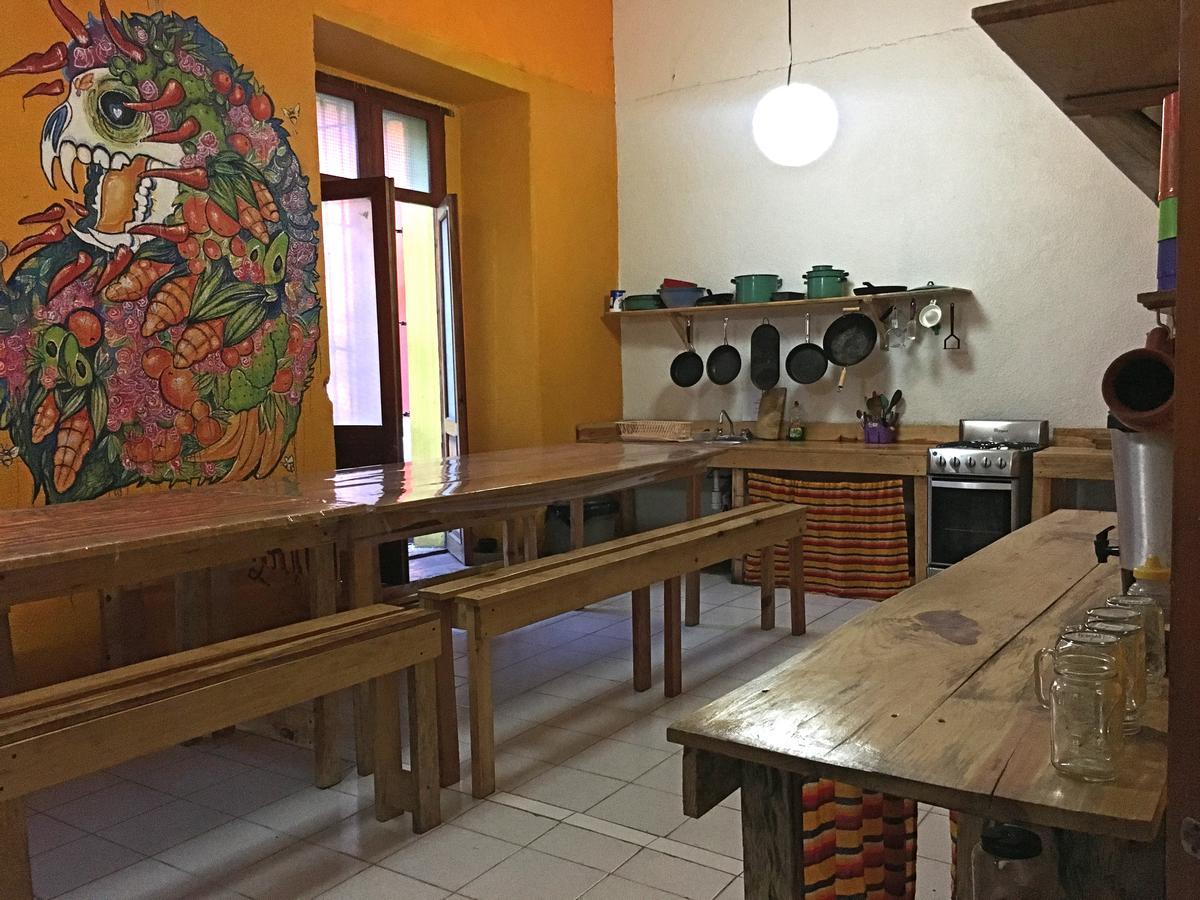 Iguana Hostel Oaxaca المظهر الخارجي الصورة