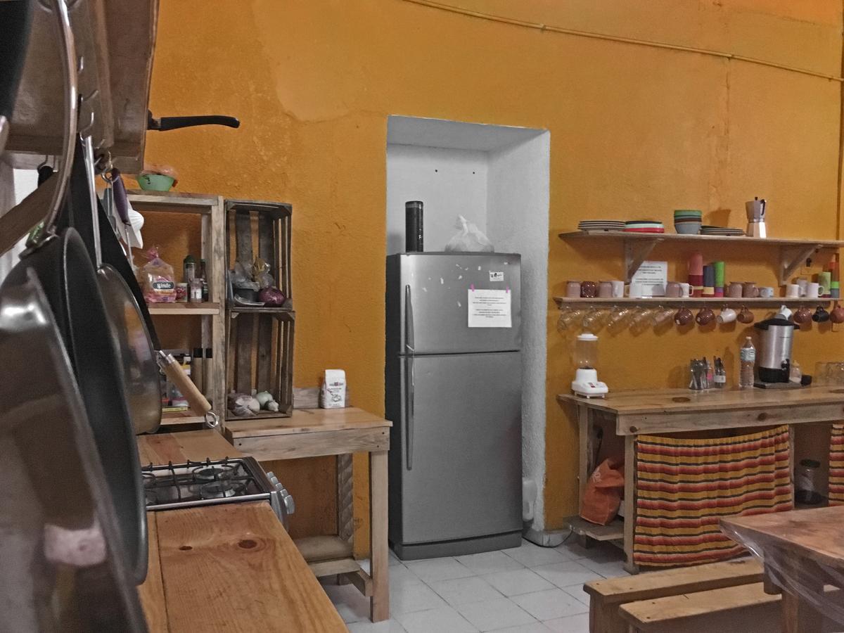 Iguana Hostel Oaxaca المظهر الخارجي الصورة