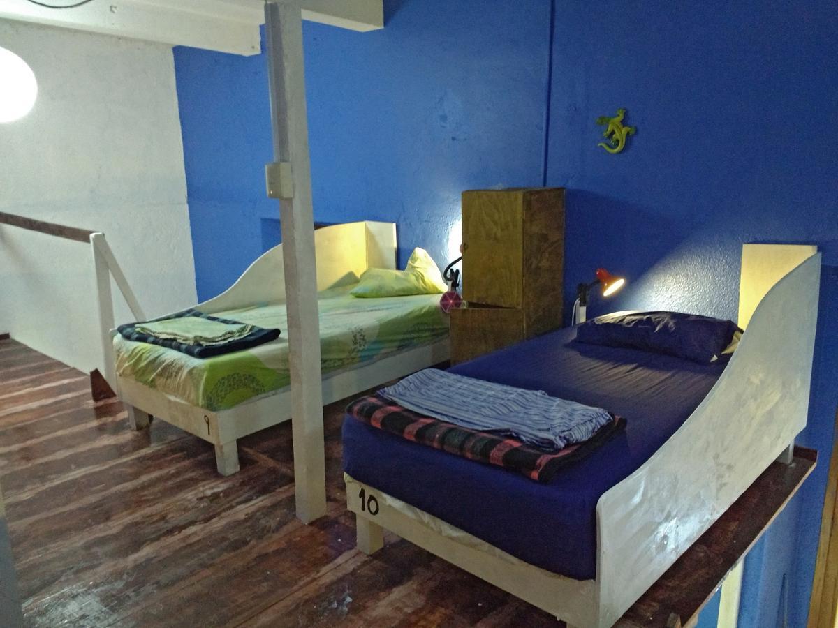 Iguana Hostel Oaxaca المظهر الخارجي الصورة