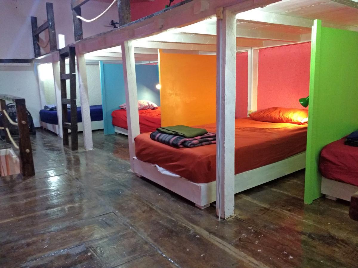 Iguana Hostel Oaxaca المظهر الخارجي الصورة