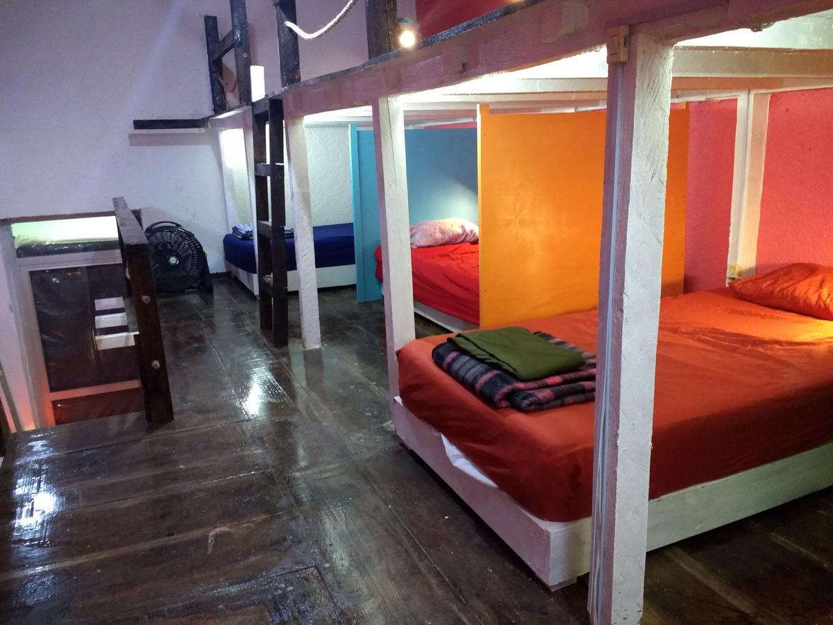 Iguana Hostel Oaxaca المظهر الخارجي الصورة