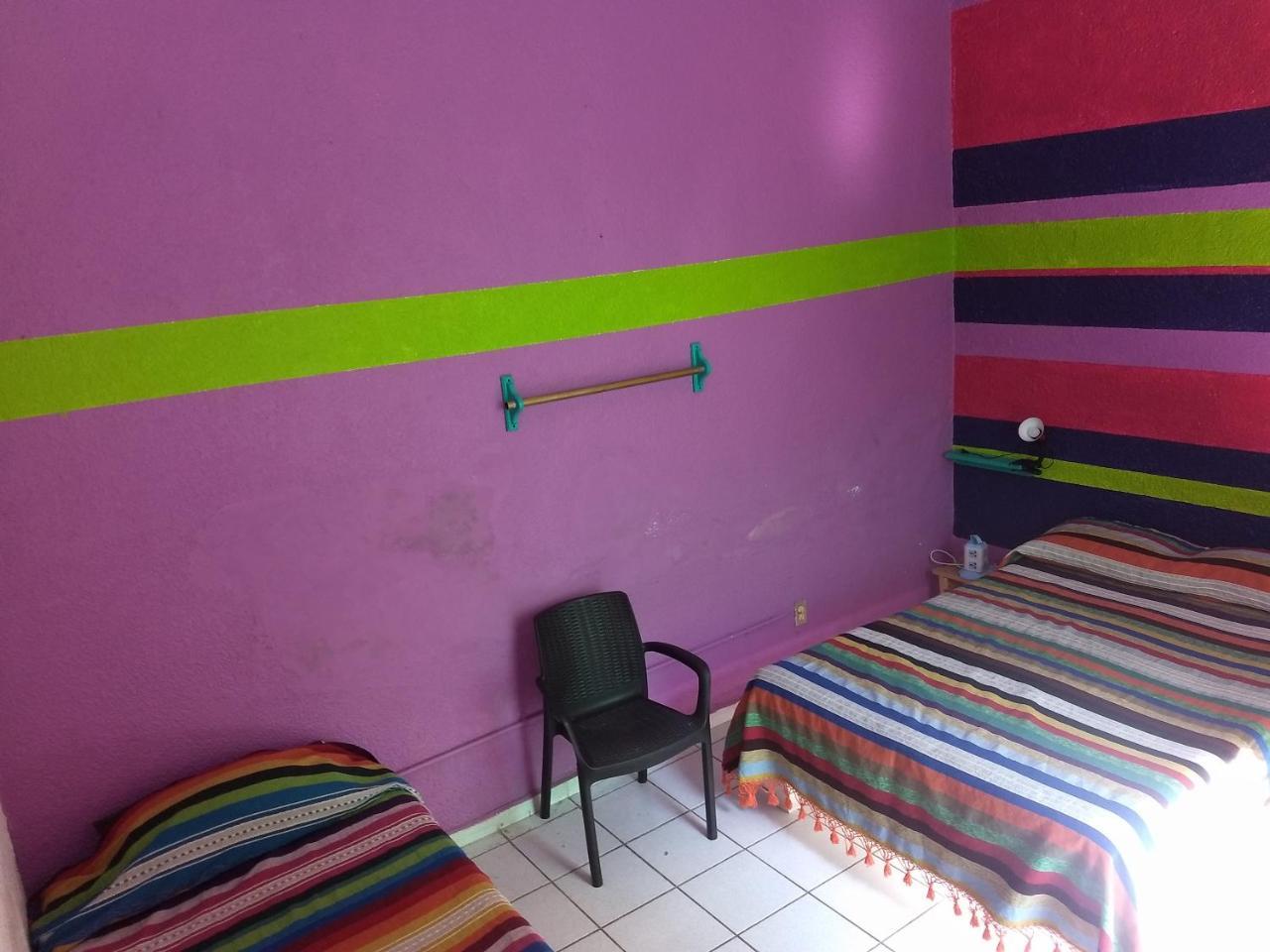 Iguana Hostel Oaxaca المظهر الخارجي الصورة